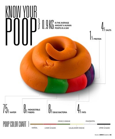 know-your-poop_5125c841e8b5b know-your-poop_5125c841e8b5b