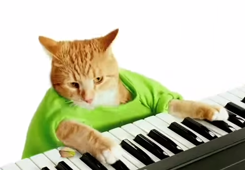 catpistachio