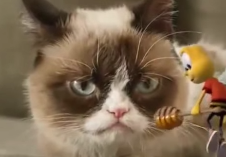grumpycat