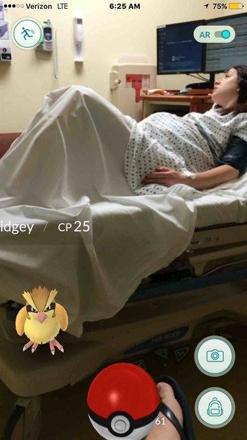 pregnant pokemon player